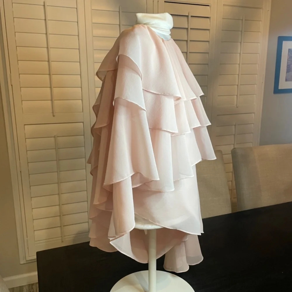 Scripted Blush one shoulder Ruffle Blouse - Picture 5 of 5